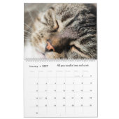 Der Kiteskalender Gold-Glitzer Kalender (Jan 2027)