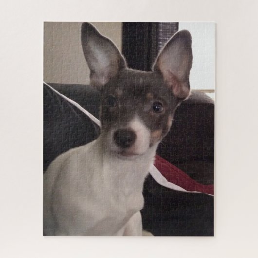 DER KLEINE CHIHUAHUA HUND PUZZLE (Vertikal)