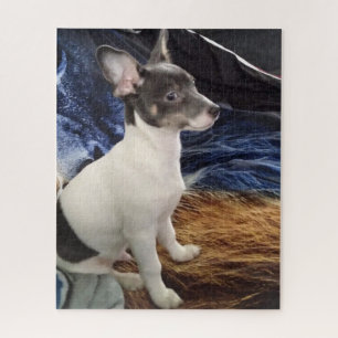 DER KLEINE CHIHUAHUA HUND PUZZLE