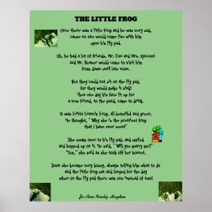 DER KLEINE FROG POSTER
