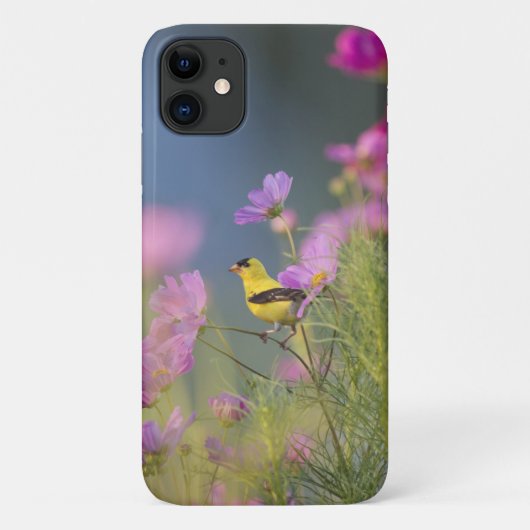 Der kleine Gelbbvogel in den Blume Case-Mate iPhone Hülle (Rückseite)