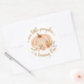 Der kleine Kürbis des Herbstes verwandelt sich ein Runder Aufkleber (Umschlag)