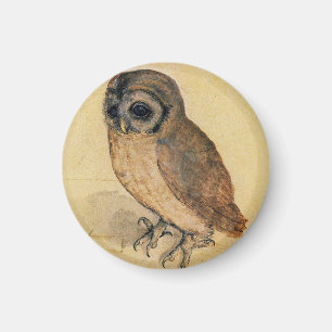 Der Kleine Owl Albrecht Dürer Magnet