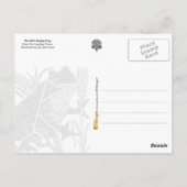 Der kleine Singfrosch Postkarte (Rückseite)