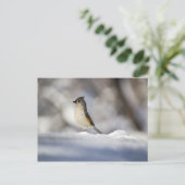 Der kleine Vogel im Schnee Postkarte (Stehend Vorderseite)