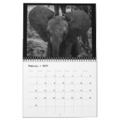 Der kleinste Giants Kalender (Feb 2027)