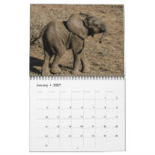 Der kleinste Giants Kalender (Jan 2027)