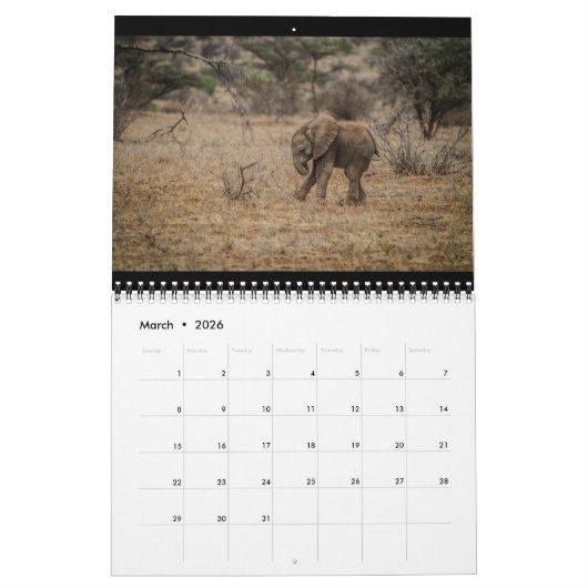 Der kleinste Giants Kalender (Mär 2026)