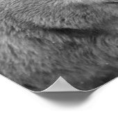 Der Klimawandel in Schwarz und Weiß mit Eisbären Poster (Ecke)