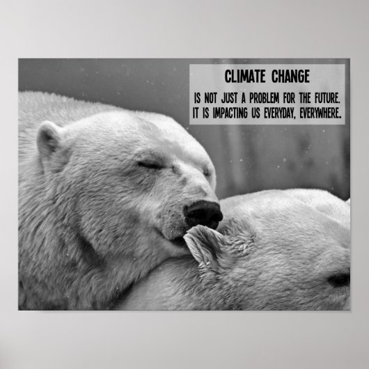 Der Klimawandel in Schwarz und Weiß mit Eisbären Poster (Vorne)
