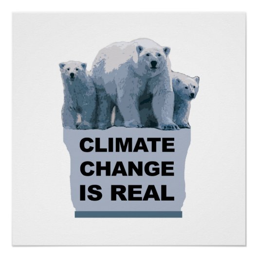 Der Klimawandel ist real Poster (Vorderseite)