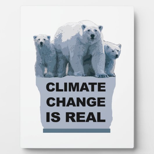 DER KLIMAWANDEL IST WIRKLICH FOTOPLATTE (Vorderseite)