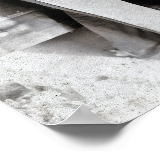 Der kluge Carpenter Poster (Ecke)