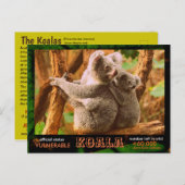 DER KOALA (Bär) ist gefährdet, lesen Sie: - Postkarte (Vorne/Hinten)
