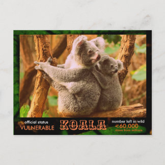 DER KOALA (Bär) ist gefährdet, lesen Sie: - Postkarte