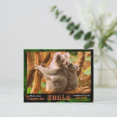DER KOALA (Bär) ist gefährdet, lesen Sie: - Postkarte (Stehend Vorderseite)