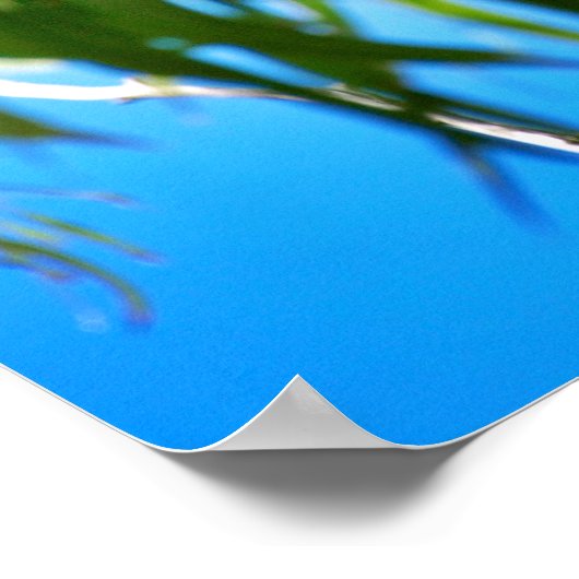 Der Koala-Bär Poster (Ecke)