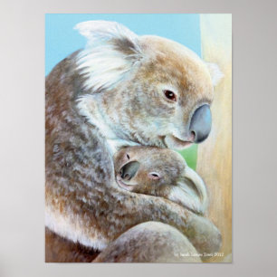 Der Koala-Kuschelporträt-Fine-Art-Druck Poster