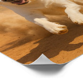 "Der Kojote ist hinter dir her!" Poster (Ecke)