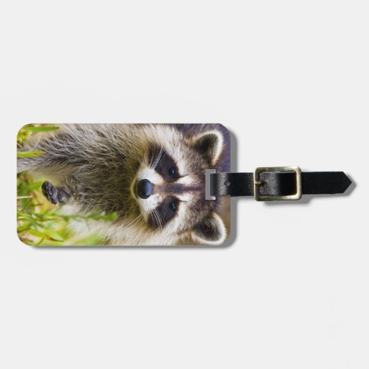 Der Kokon, Procyon-Plünderer Gepäckanhänger (Vorderseite horizontal)