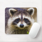 Der Kokon, Procyon-Plünderer Mousepad (Mit Mouse)