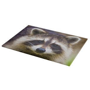 Der Kokon, Procyon-Plünderer Schneidebrett