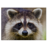 Der Kokon, Procyon-Plünderer Schneidebrett (Vorderseite)