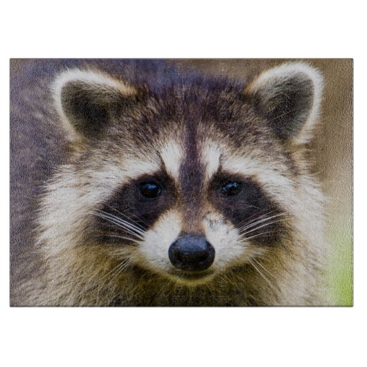 Der Kokon, Procyon-Plünderer Schneidebrett (Vorderseite)