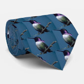 Der Kolibri der Costa, Calypte Costae, Sacremento, Krawatte (Gerollt)