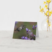 Der Kolibri der Costa - Joe Sweeney - Karte (Gelbe Blume)