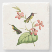 Der Kolibri der Costa Steinuntersetzer (Vorderseite)