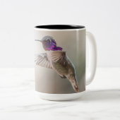 Der Kolibri-große Tasse des Costas (VorderseiteRechts)