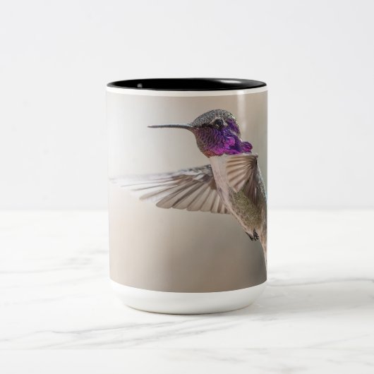 Der Kolibri-große Tasse des Costas (Mittel)