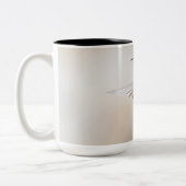 Der Kolibri-große Tasse des Costas (Links)