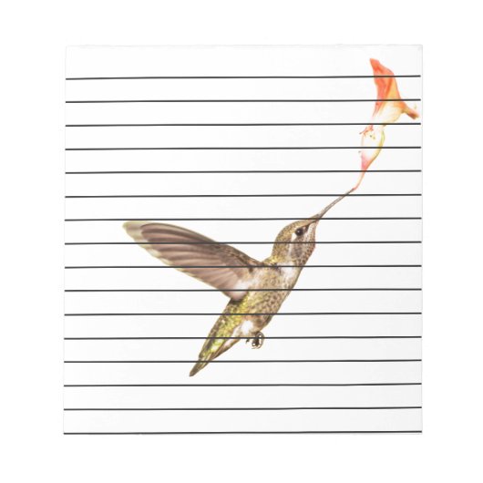 Der Kolibri und die Blume Notizblock (Vorderseite)