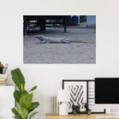 Der Komodo-Drache Poster (Heimbüro)