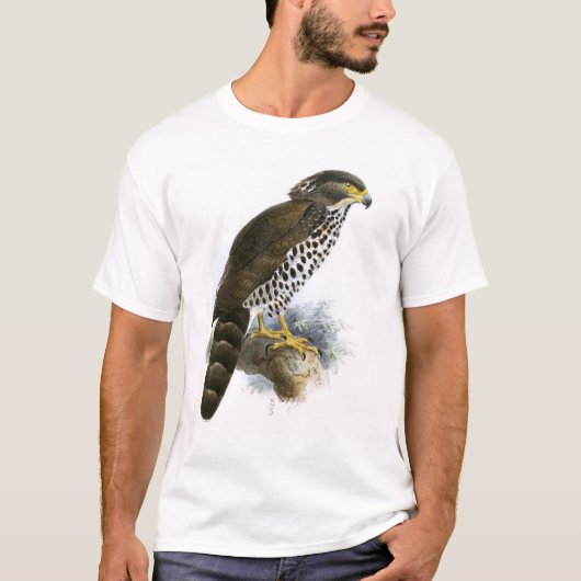 Der Kongo Schlange-Eagle T-Shirt (Vorderseite)