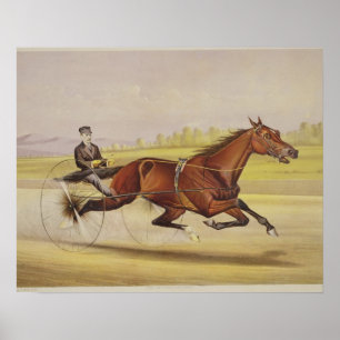 Der König der Türken, 'St. Julien', angetrieben vo Poster