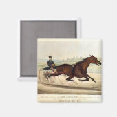 Der König der Türken, 'St. Julien' Magnet (Vorderseite/Rückseite)