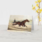 Der König des Rasens, 'St. Julien Karte (Gelbe Blume)