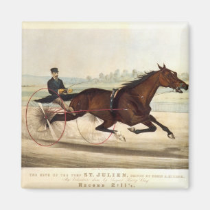 Der König des Rasens, 'St. Julien Magnet