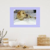 Der König im Schnee - Labrador Winterszene Poster (Küche)
