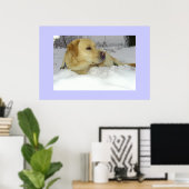 Der König im Schnee - Labrador Winterszene Poster (Heimbüro)