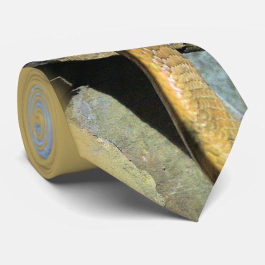 Der König Krawatte (Gerollt)