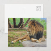 Der König Postkarte (Vorne/Hinten)