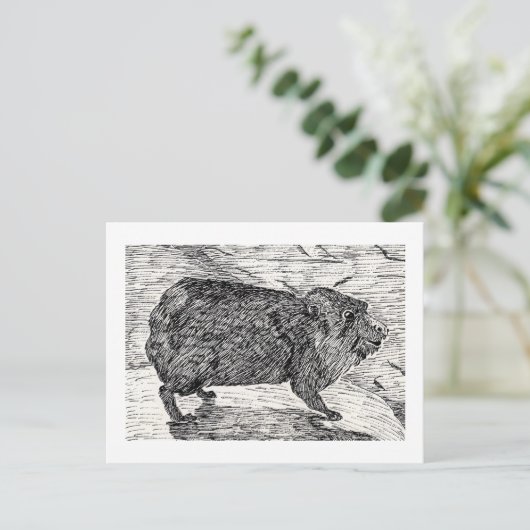 Der Konion oder syrischer Rock Hyrax Postkarte (Stehend Vorderseite)