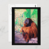 Der Kontemplater - Postkarte (Vorne/Hinten)