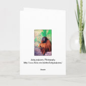 Der Kontemplator - Karte (Rückseite)