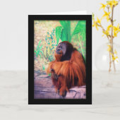 Der Kontemplator - Karte (Gelbe Blume)