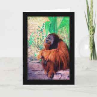 Der Kontemplator - Karte